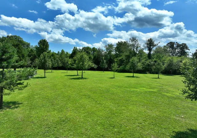 4th image of 5858 Wolf Creek Rd, Spring City, TN 37381 | MLS# 1540440