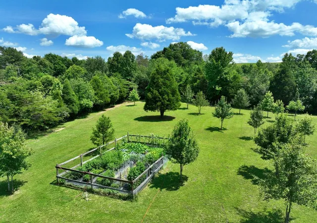 5th image of 5858 Wolf Creek Rd, Spring City, TN 37381 | MLS# 1540440