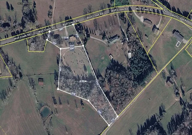 76th image of 5858 Wolf Creek Rd, Spring City, TN 37381 | MLS# 1540440