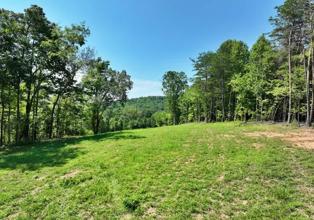 1st image of 521 Norton Rd, Philadelphia, TN 37846 | MLS# 1540444