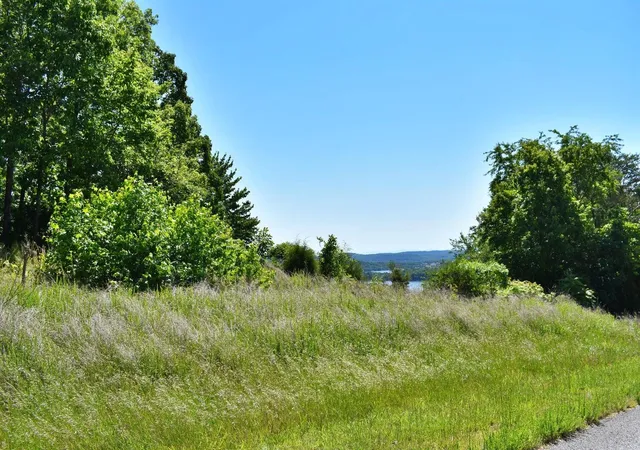2nd image of 0 Flint Ridge Rd, Rockwood, TN 37854 | MLS# 1540450