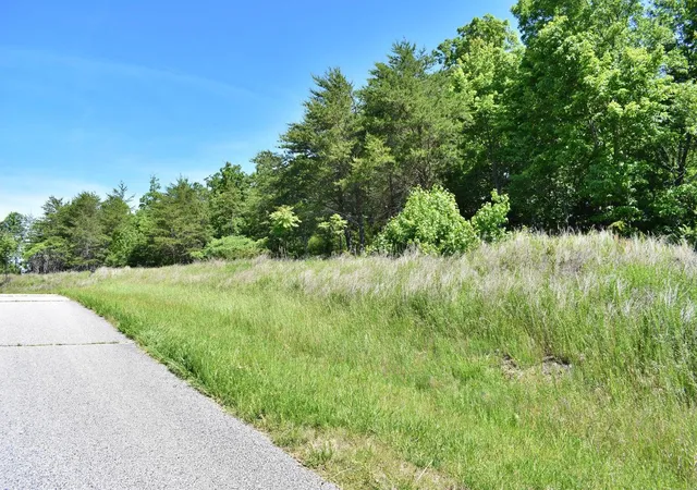 3rd image of 0 Flint Ridge Rd, Rockwood, TN 37854 | MLS# 1540450
