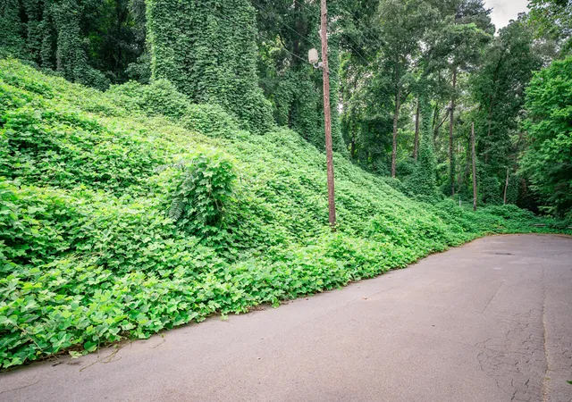 Photo 1 of Land for sale at 3200 16th Avenue, Chattanooga, TN 37407 | MLS# 1540480 | Listing updated on 2026-08-17