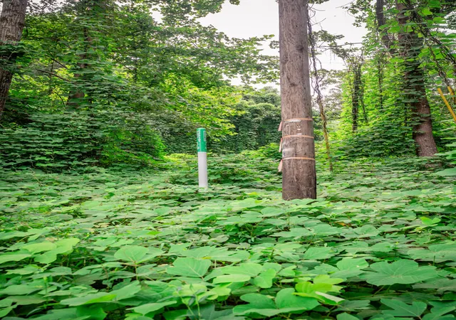 Photo 2 of Land for sale at 3200 16th Avenue, Chattanooga, TN 37407 | MLS# 1540480 | Listing updated on 2026-08-17