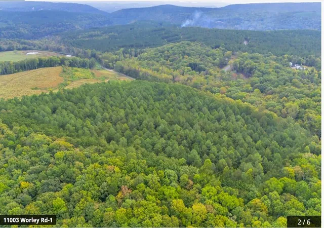 Photo 4 of House for sale at 11003 Worley Rd, Soddy Daisy, TN 37379 | MLS# 1540946 | Listing updated on 2026-08-17