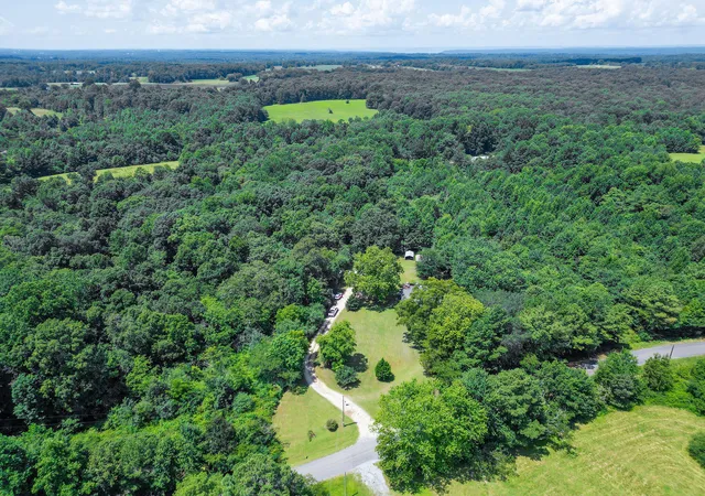 37th image of 2243 County Road 732, Ider, AL 35981 | MLS# 1540618
