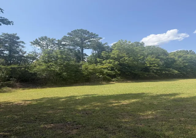 20th image of 0 Old Federal Rd, Old Fort, TN 37362 | MLS# 1540534
