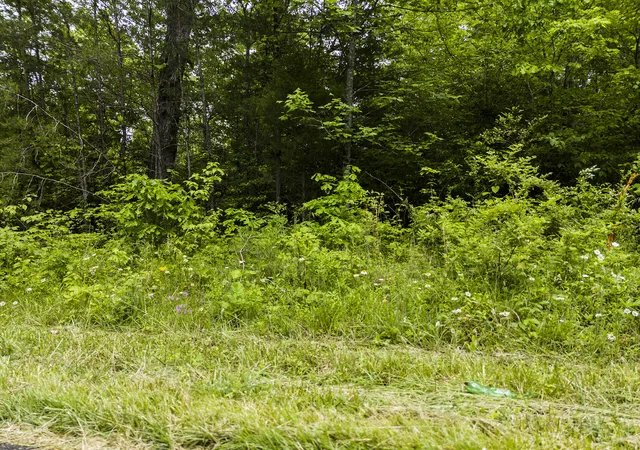 8th image of 2361 Colony Rd, Gruetli Laager, TN 37339 | MLS# 1540533