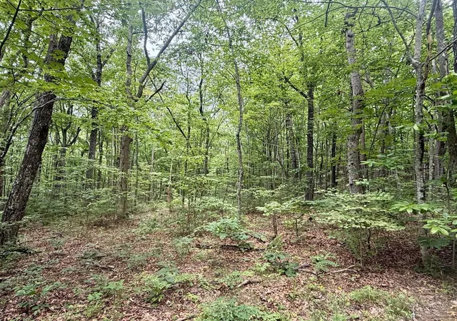 2nd image of 5973Ac Windridge Dr, Dunlap, TN 37327 | MLS# 1540549