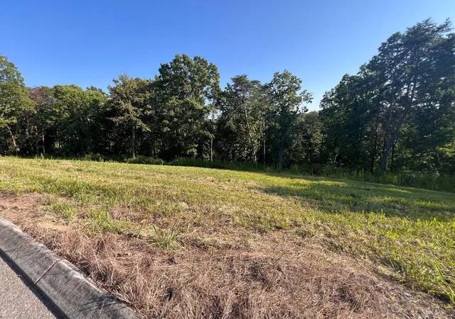 2nd image of Lot 29 State Hwy 60, Birchwood, TN 37308 | MLS# 1540551