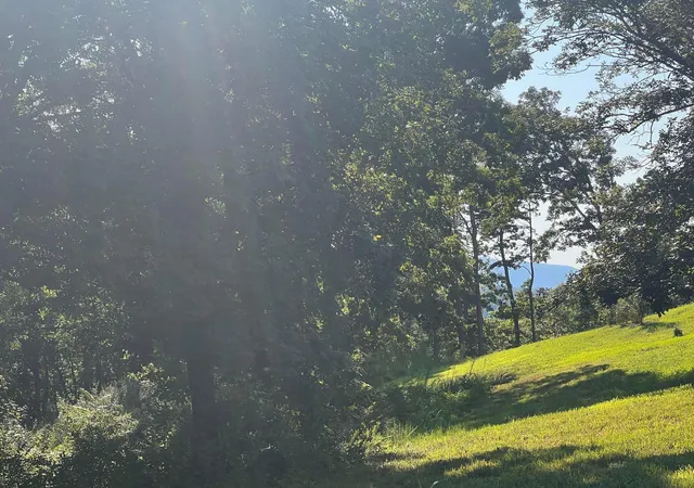 2nd image of Lot 28 State Hwy 60, Birchwood, TN 37308 | MLS# 1540555