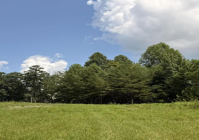 Photo 2 of Land for sale at Tract 12 Old Harris Turnpike Rd #12, South Pittsburg, TN 37380 | MLS# 1540566 | Listing updated on 2026-10-05