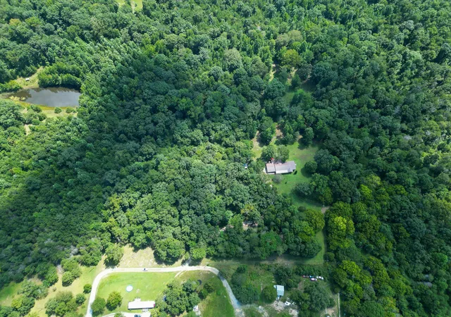 42nd image of 271 County Road 806, Flat Rock, AL 35966 | MLS# 1540631