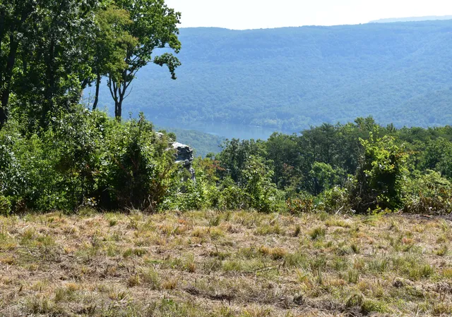 4th image of 0 River Bend Lot 1299 Rd #Lot 1299, Guild, TN 37340 | MLS# 1540580