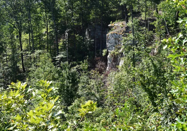 5th image of 0 River Bend Lot 1299 Rd #Lot 1299, Guild, TN 37340 | MLS# 1540580