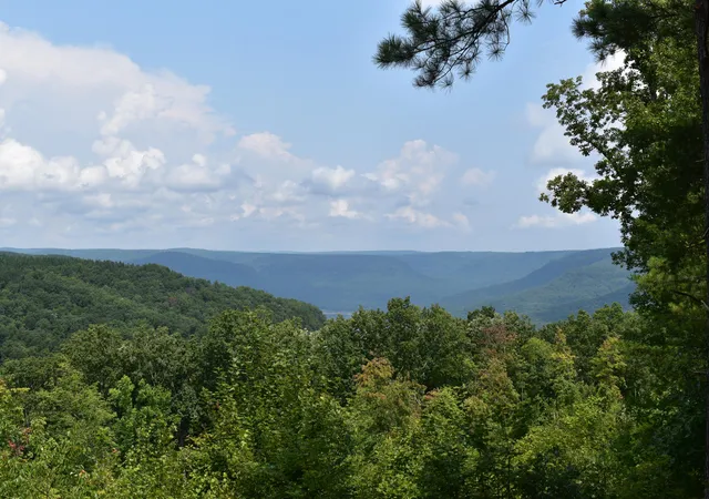 1st image of 0 River Bend Rd #Lot 1232, Guild, TN 37340 | MLS# 1540696