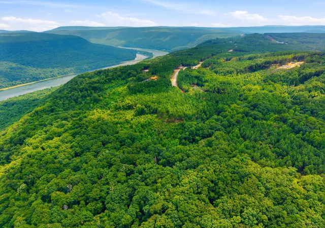 Photo 4 of Land for sale at 0 River Bnd Rd #Lot 1232, Guild, TN 37340 | MLS# 1540696 | Listing updated on 2026-09-21