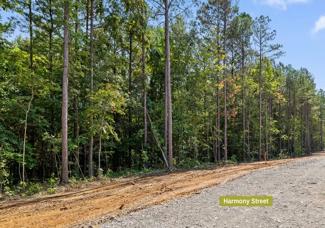 4th image of Lot 2017 Harmony St, Guild, TN 37340 | MLS# 1541036