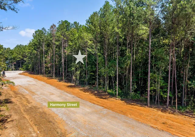 5th image of Lot 2017 Harmony St, Guild, TN 37340 | MLS# 1541036