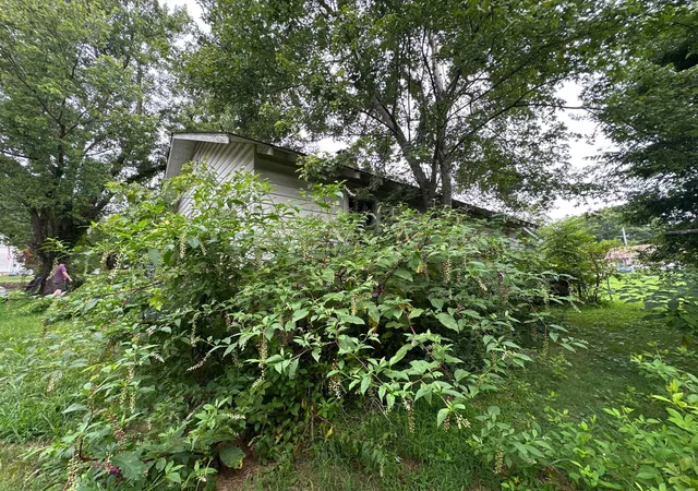 44th image of 1567 Benton Station Rd, Benton, TN 37307 | MLS# 1540728