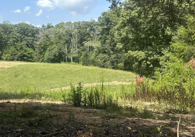 Photo 1 of Land for sale at 14611 Baker Rd #8, Birchwood, TN 37308 | MLS# 1540790 | Listing updated on 2026-08-14