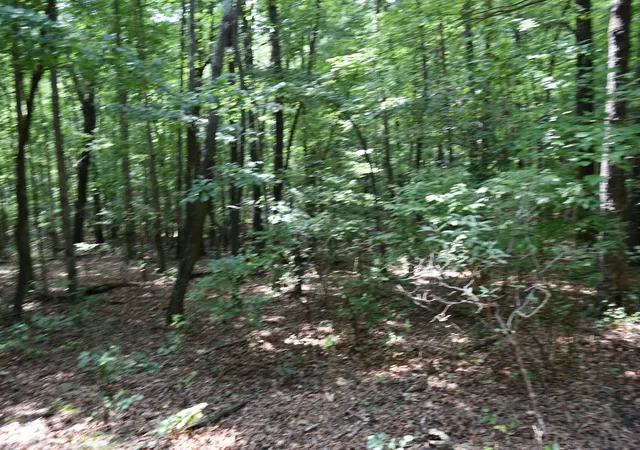 26th image of 0 Deep Woods Rd #Lot 8 Cooleys Rift, Sewanee, TN 37375 | MLS# 1540766