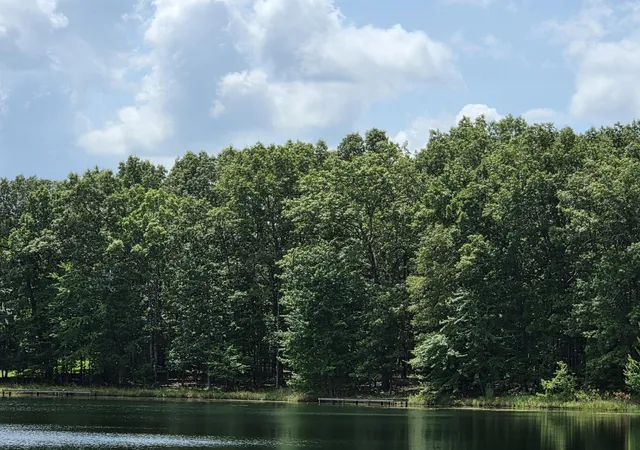 Photo 3 of Land for sale at 132 Camp Crk Cir, Spencer, TN 38585 | MLS# 1540910 | Listing updated on 2026-08-19