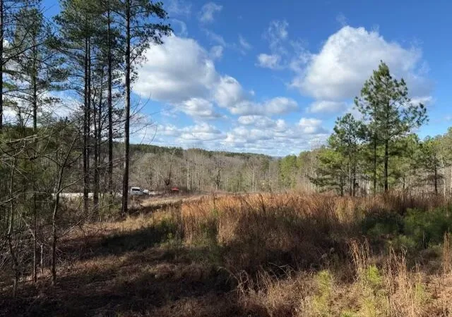 1st image of 0 Birds Eye Wy #1097, Guild, TN 37340 | MLS# 1540912