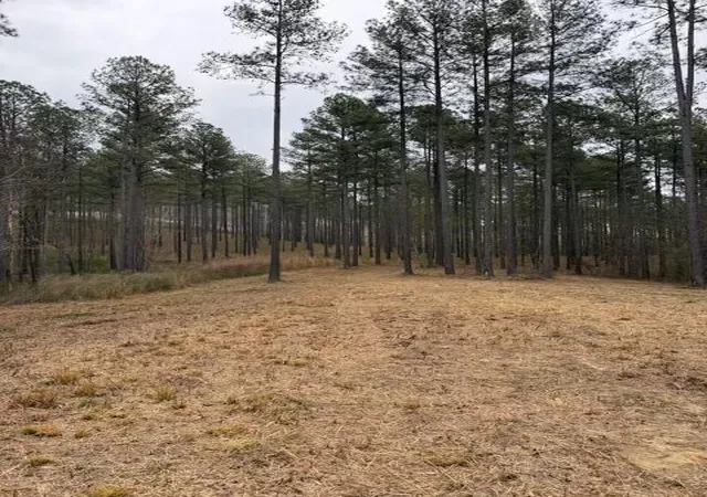2nd image of 0 Birds Eye Wy #1097, Guild, TN 37340 | MLS# 1540912