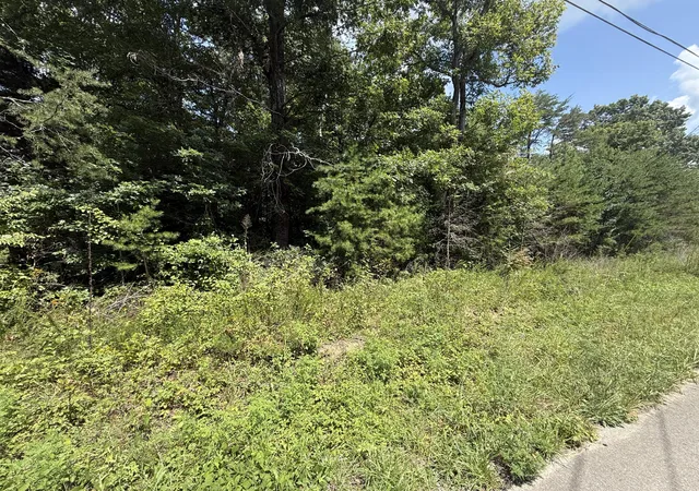 2nd image of 425 Woodland Ave, Altamont, TN 37301 | MLS# 1541008