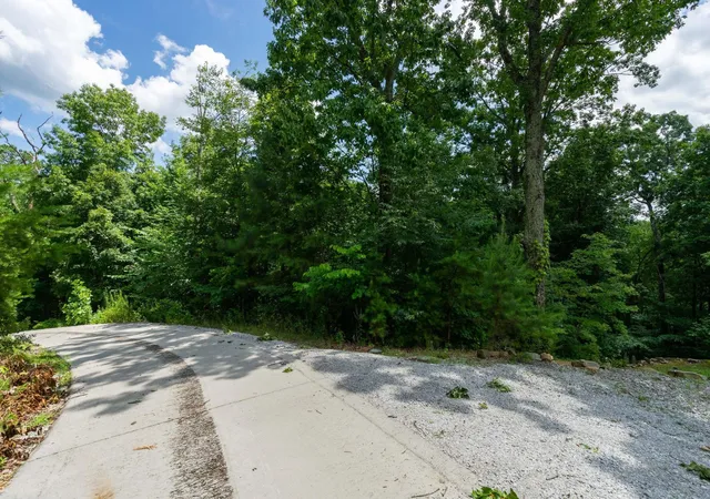 Photo 4 of Land for sale at 0 Valley Rim Dr #63, Chickamauga, GA 30707 | MLS# 1540956 | Listing updated on 2026-08-17
