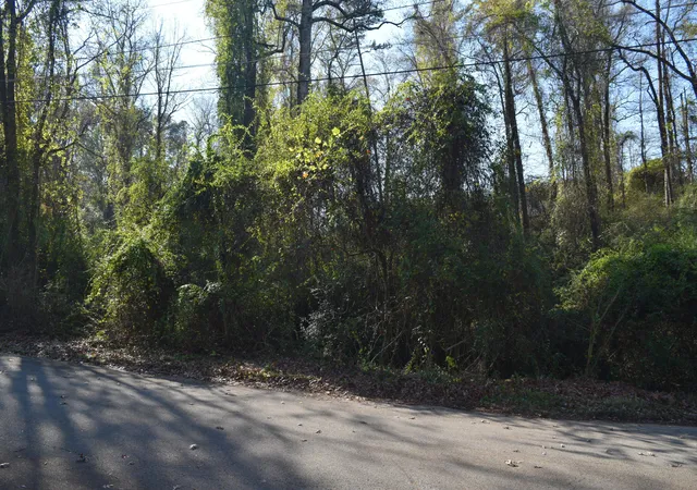 Photo 3 of Land for sale at 6830 Buck Trl Dr, Harrison, TN 37341 | MLS# 1540960 | Listing updated on 2026-08-17