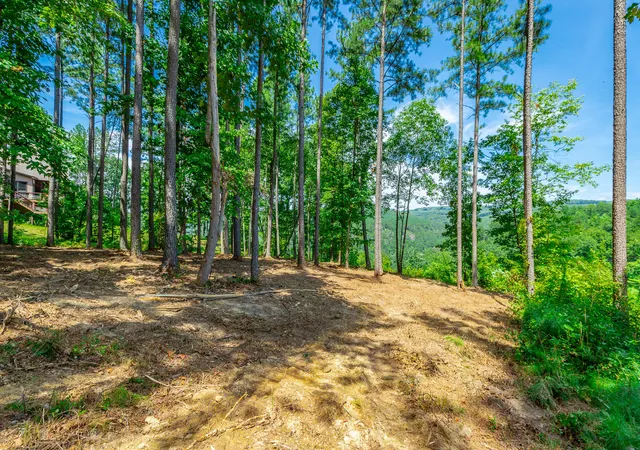 2nd image of 0 Birds Eye Wy #Lot 1060, Guild, TN 37340 | MLS# 1541346