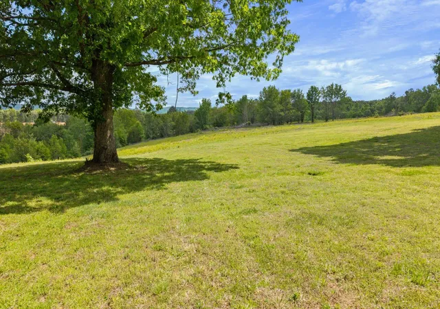 Photo 3 of Land for sale at 10006 Birchwood Pike, Harrison, TN 37341 | MLS# 1541095 | Listing updated on 2026-08-26