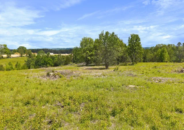 Photo 3 of Land for sale at 10006 Birchwood Pike, Harrison, TN 37341 | MLS# 1541095 | Listing updated on 2026-08-26