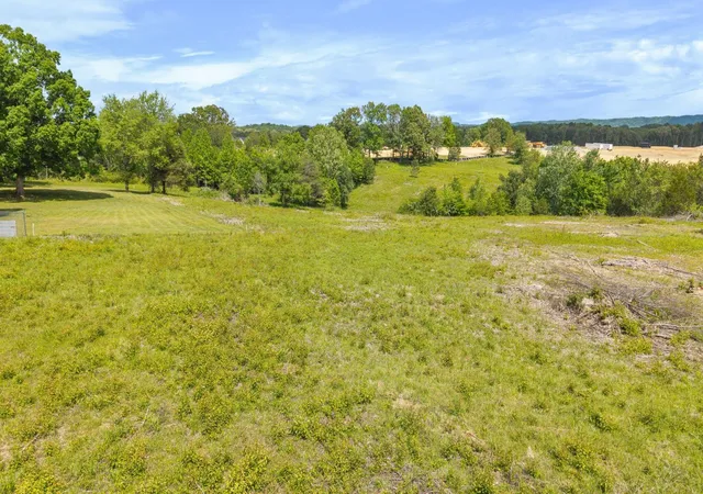 Photo 4 of Land for sale at 10006 Birchwood Pike, Harrison, TN 37341 | MLS# 1541095 | Listing updated on 2026-08-26