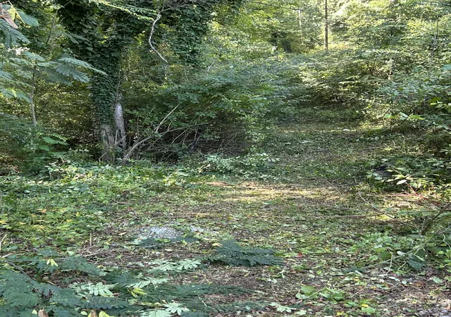 Photo 1 of Land for sale at 0 Veterans Way, Chattanooga, TN 37411 | MLS# 1541024 | Listing updated on 2026-08-26