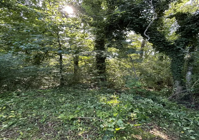 Photo 3 of Land for sale at 0 Veterans Way, Chattanooga, TN 37411 | MLS# 1541024 | Listing updated on 2026-08-26