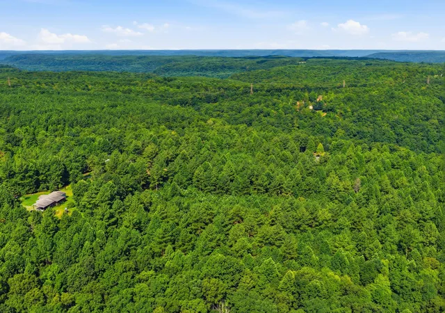 4th image of Tract 4 South Pittsburg Mountain Rd, South Pittsburg, TN 37380 | MLS# 1541121
