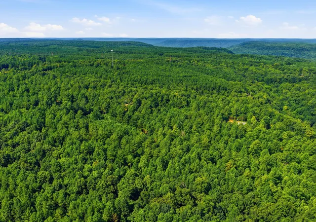 5th image of Tract 4 South Pittsburg Mountain Rd, South Pittsburg, TN 37380 | MLS# 1541121