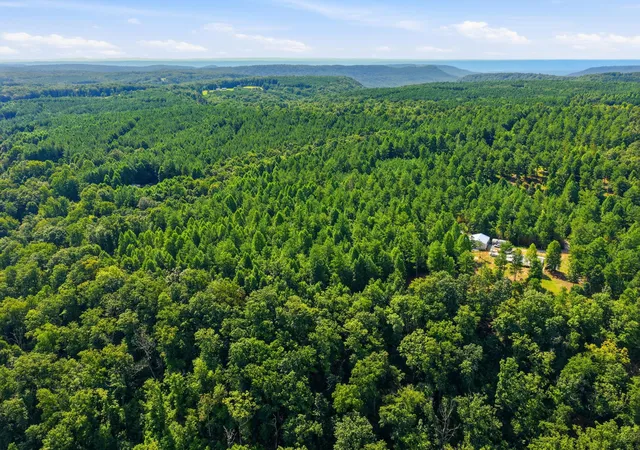 Photo 3 of Land for sale at Tract 4 S Pittsburg Mountain Rd, South Pittsburg, TN 37380 | MLS# 1541121 | Listing updated on 2026-09-02