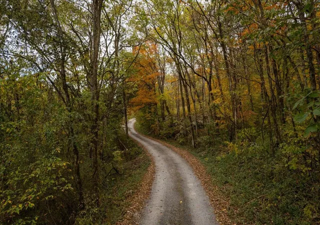 5th image of 00 Willie Anderson Rd, South Pittsburg, TN 37380 | MLS# 1541027