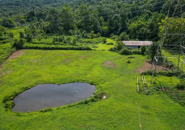 Photo 3 of Single family home for sale at 13330 County Road 91, Bryant, AL 35958 | MLS# 1541396 | Listing updated on 2026-10-05