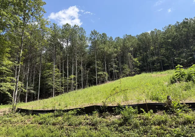 2nd image of 0 Sw Banther Rd Sw, Mc Donald, TN 37353 | MLS# 1541063
