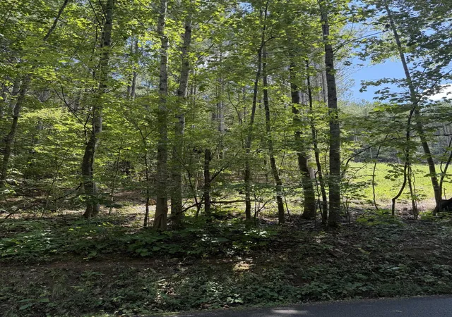 Photo 3 of Land for sale at 0 Sw Banther Rd, Mc Donald, TN 37353 | MLS# 1541063 | Listing updated on 2026-09-10