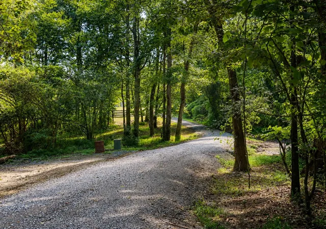 5th image of 602 County Road 771, Ider, AL 35981 | MLS# 1541291