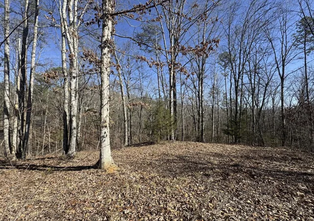 6th image of 00 Fox Trail Dr, Old Fort, TN 37362 | MLS# 1541366
