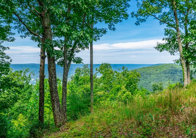 1st image of 0 Whiskey Wy #384, Jasper, TN 37347 | MLS# 1541299