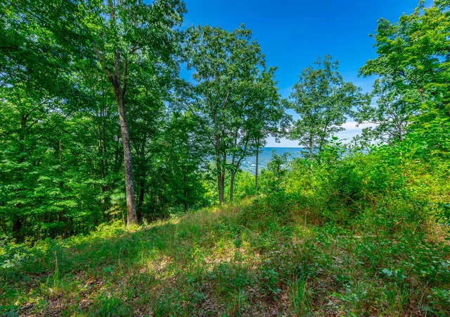5th image of 0 Whiskey Wy #384, Jasper, TN 37347 | MLS# 1541299