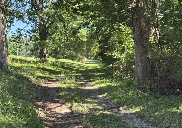 17th image of 750 Belmont Church Rd, Whitwell, TN 37397 | MLS# 1541338